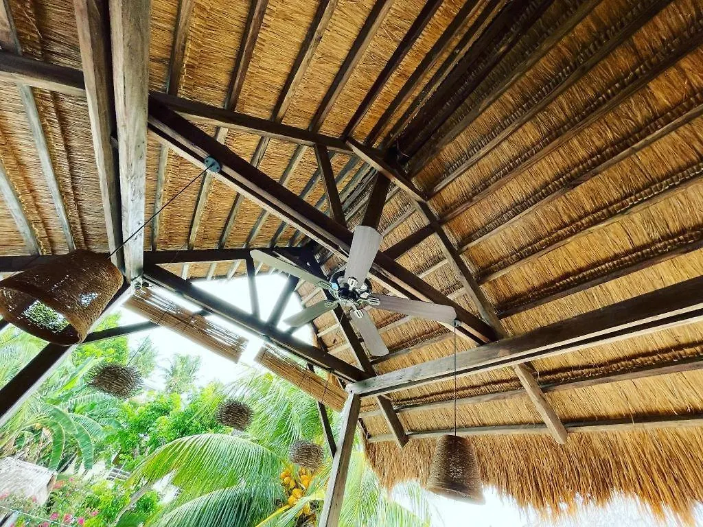 Palms Cove Resort Panglao Philippines